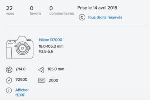 Flickr - licence