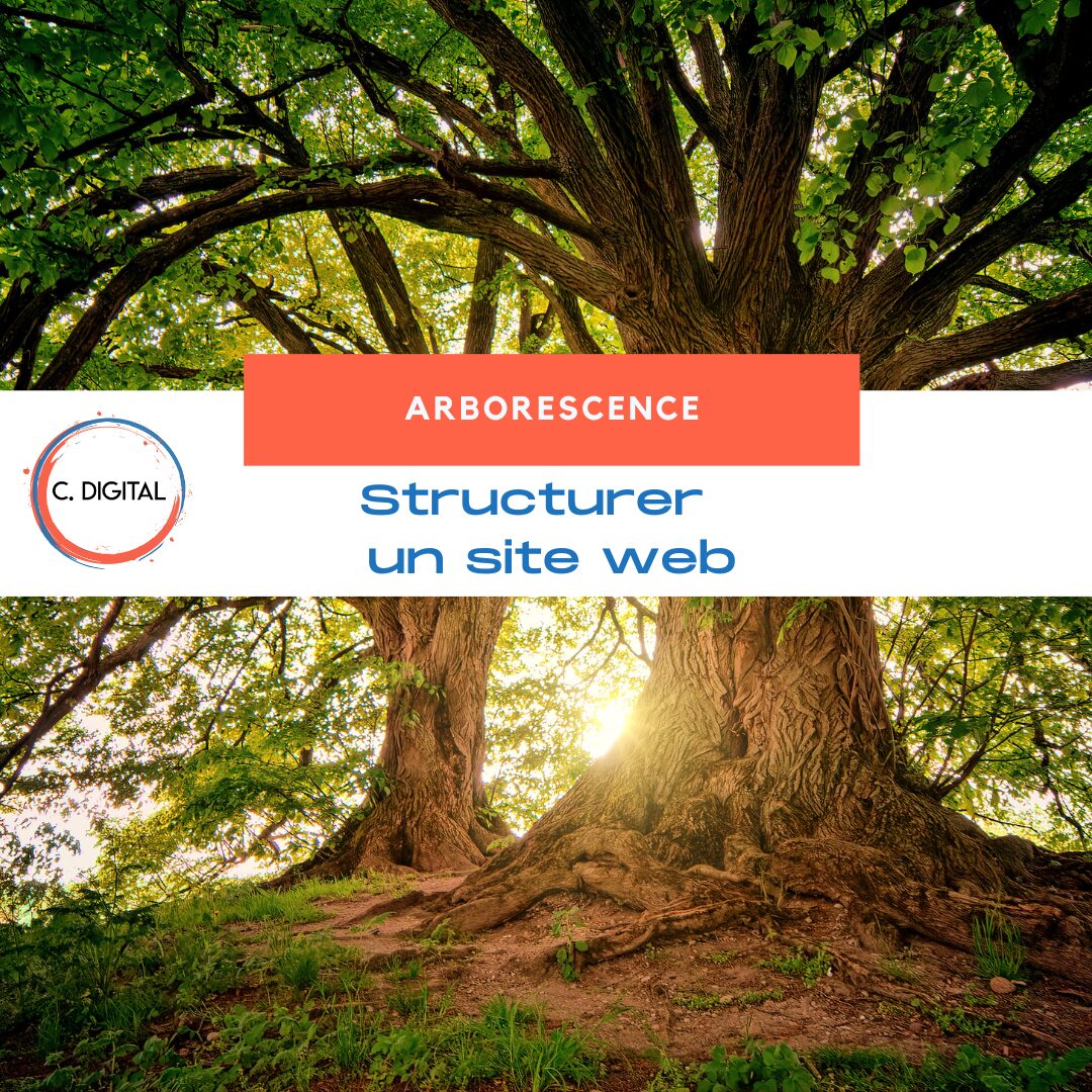 Comment structurer l’arborescence d’un site web pro pour booster l’expérience utilisateur et le SEO ?