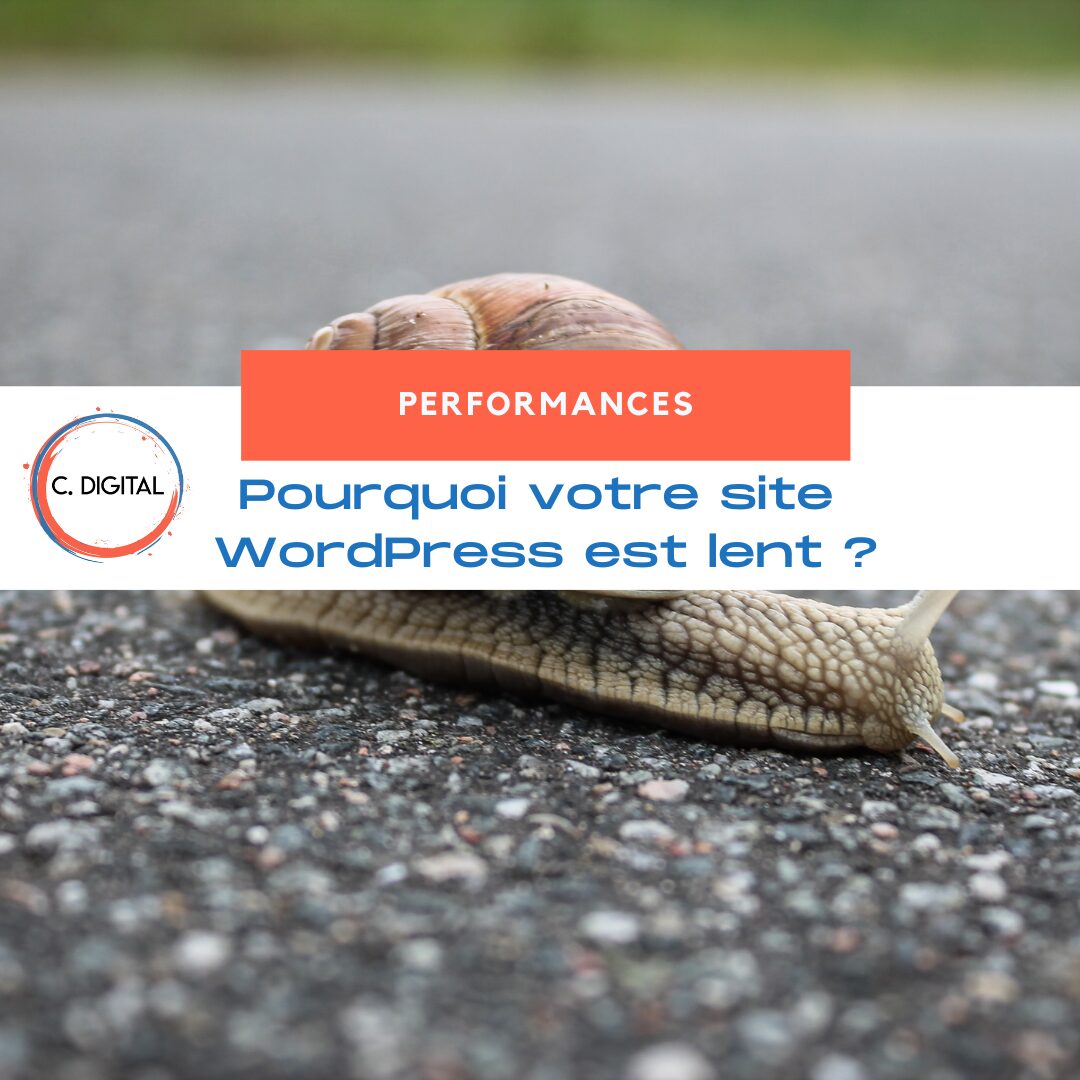 Pourquoi votre site WordPress est lent (et comment identifier les plugins ou scripts responsables) ?